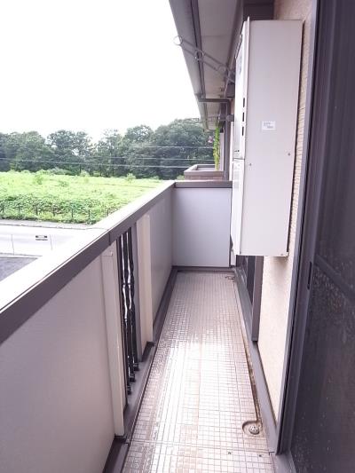 ﾊﾞﾙｺﾆｰ(ﾃﾗｽ)