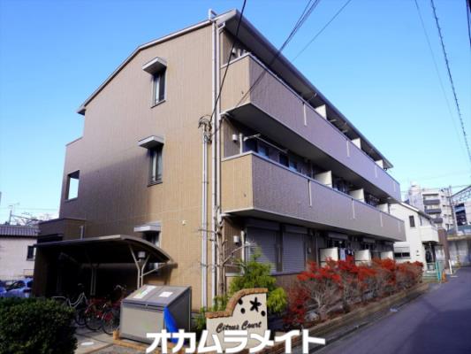 シトラスコート105