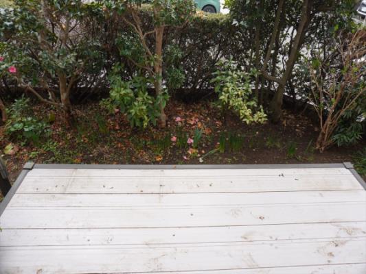 ﾊﾞﾙｺﾆｰ(ﾃﾗｽ)