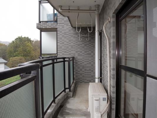 ﾊﾞﾙｺﾆｰ(ﾃﾗｽ)