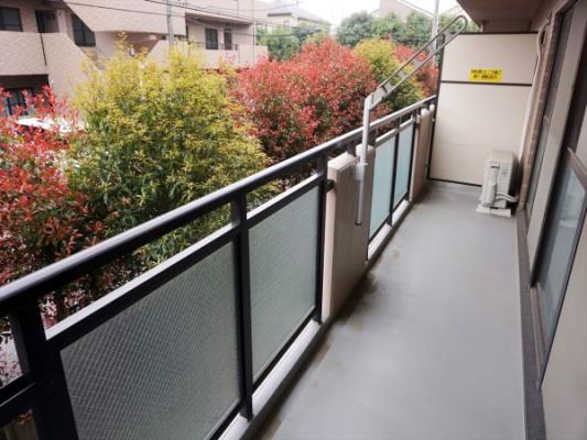 ﾊﾞﾙｺﾆｰ(ﾃﾗｽ)